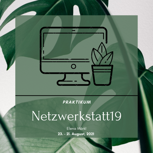 praktikum-drei-berufe praktikum-drei-berufe