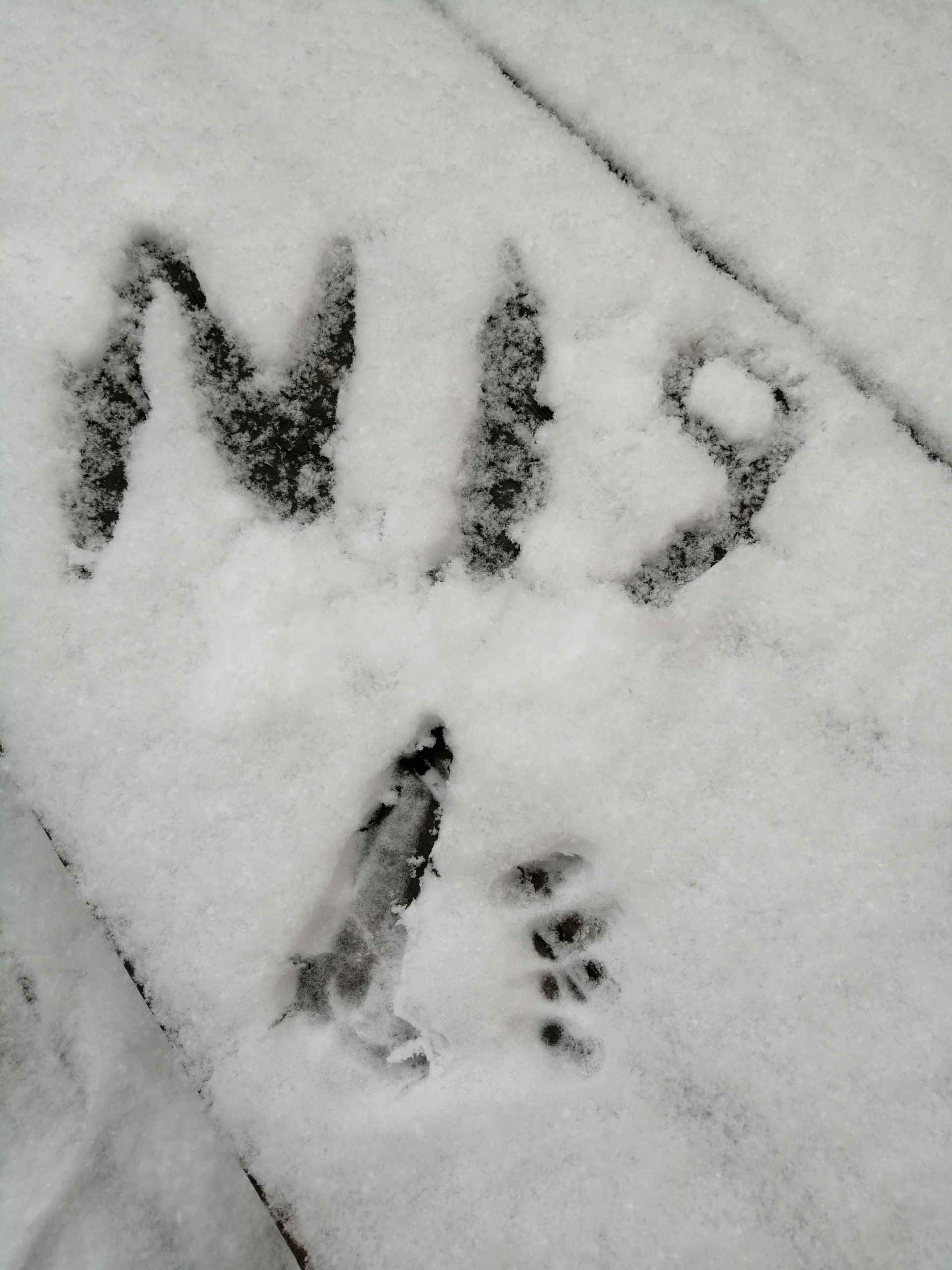onlinemarketing-ist-nicht-schnee-von-gestern onlinemarketing-ist-nicht-schnee-von-gestern