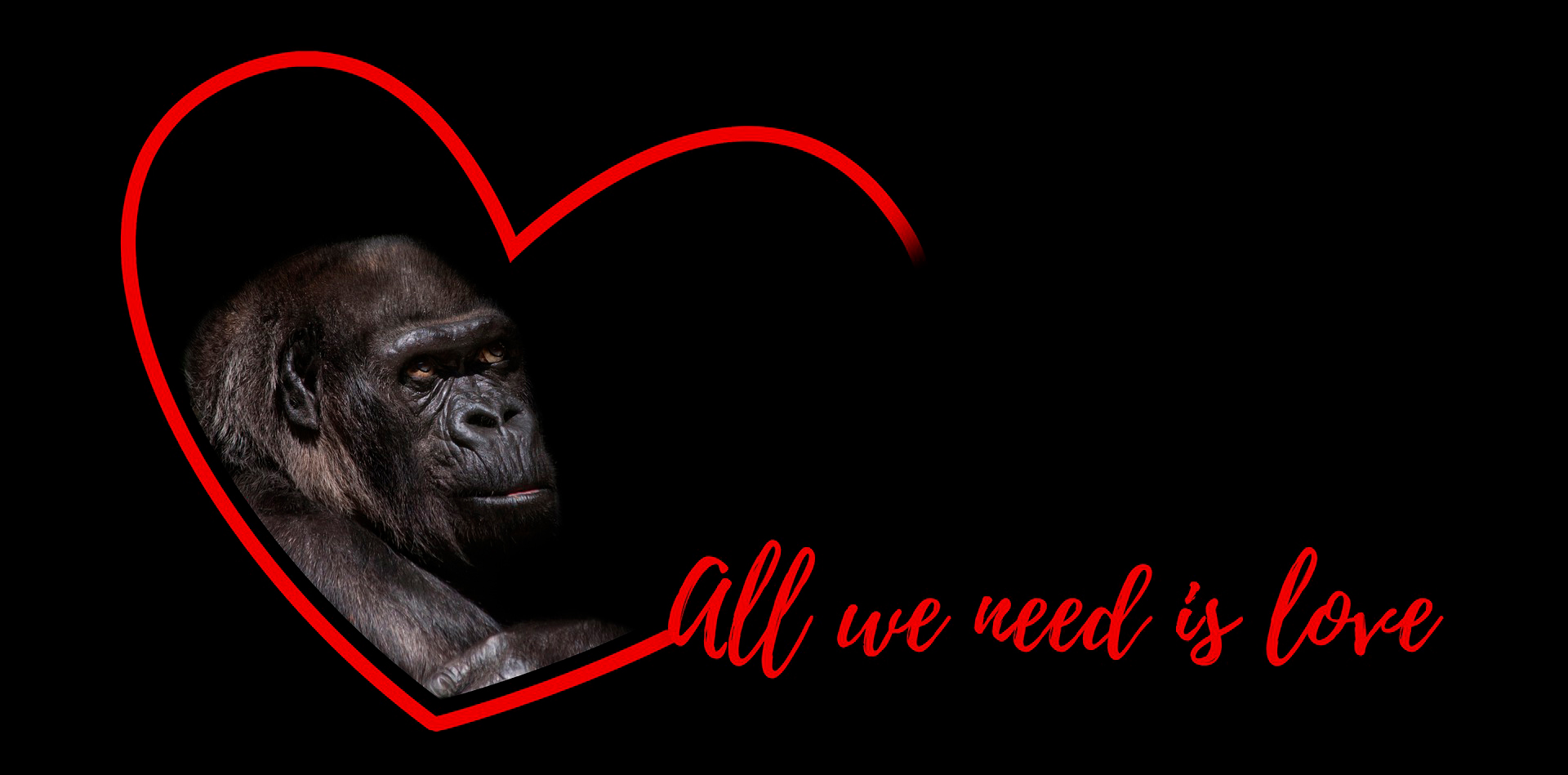 gorilla-valentinstag gorilla-valentinstag