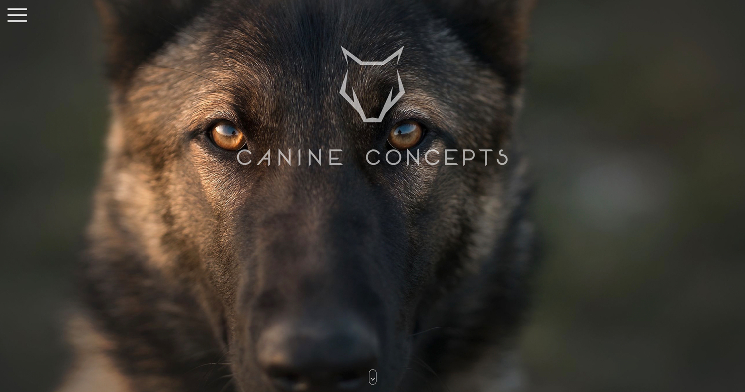 canineconcepts-n19