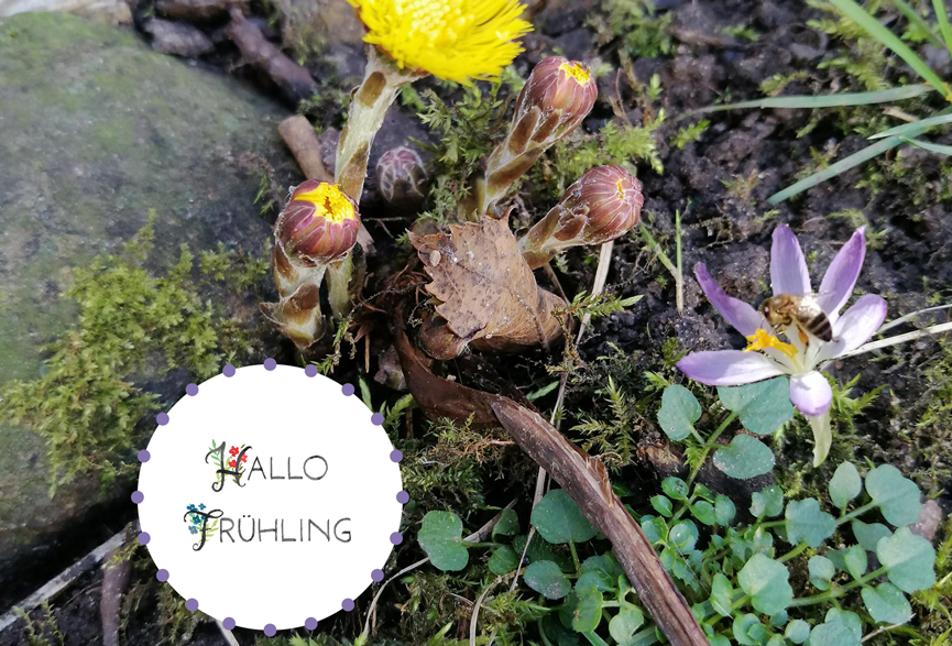 spring-break-party-in-unserem-garten spring-break-party-in-unserem-garten