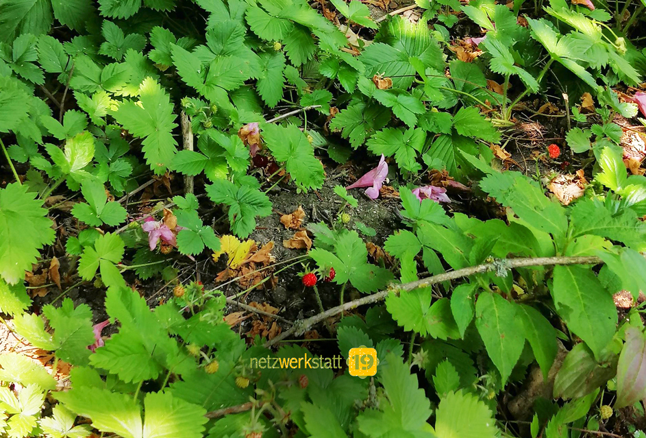 vernissage-von-melanie-kollmer vernissage-von-melanie-kollmer